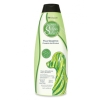 Szampon przeciw pchłom dla psa Groomer's Salon Select Select Flea 544 ml