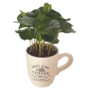 Coffea Arabica Kawa Arabska kubek ceramiczny mix